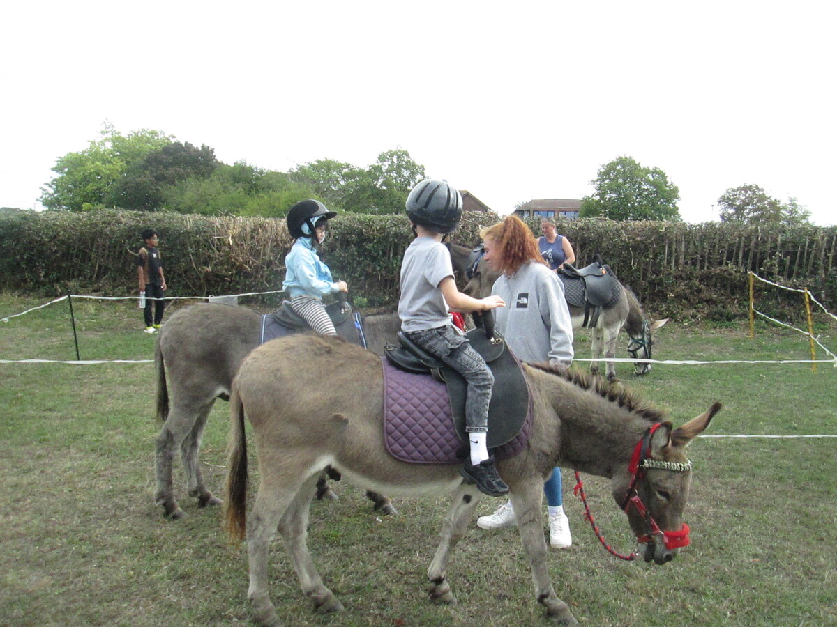 Free donkey rides